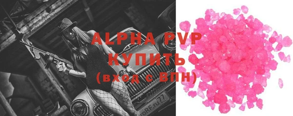 индика Богородск