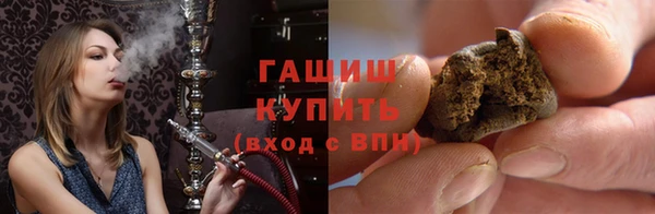 индика Богородск