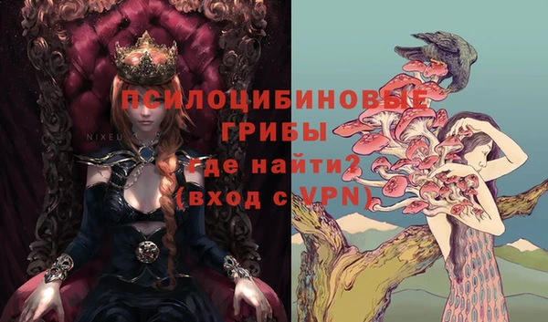 герыч Сафоново
