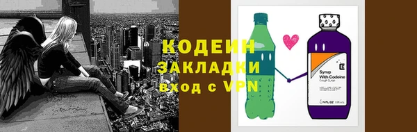 индика Богородск