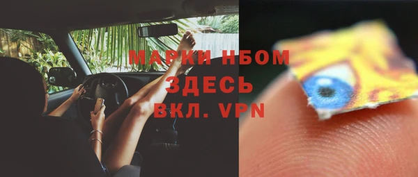 мдпв Богданович