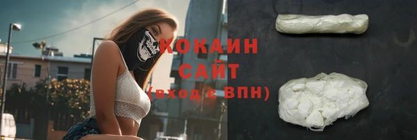 альфа пвп Бородино