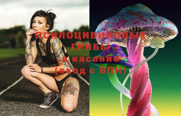 не бодяженный Саяногорск