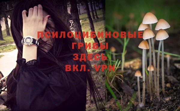 мдпв Богданович