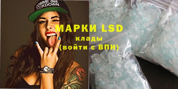 индика Богородск