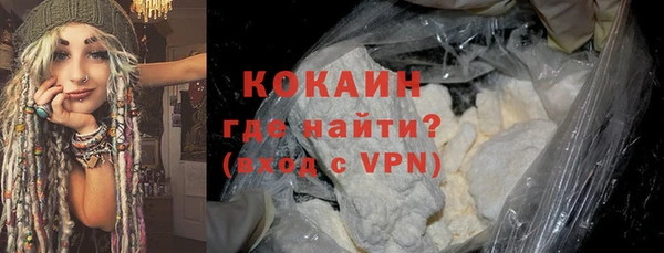 дживик Бронницы