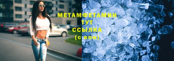 индика Богородск