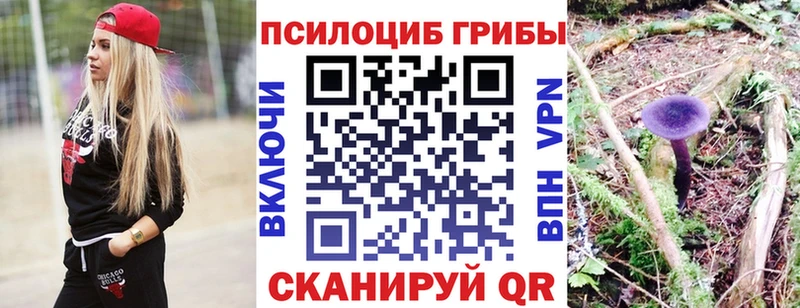 Псилоцибиновые грибы Psilocybine cubensis Томари